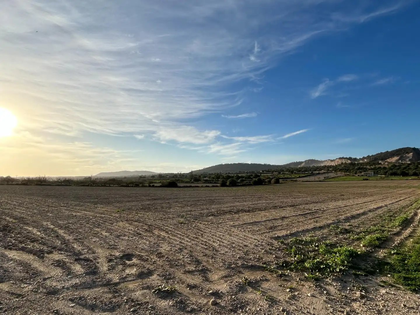 Terreny residencial en venda a Porreres, imagen 2