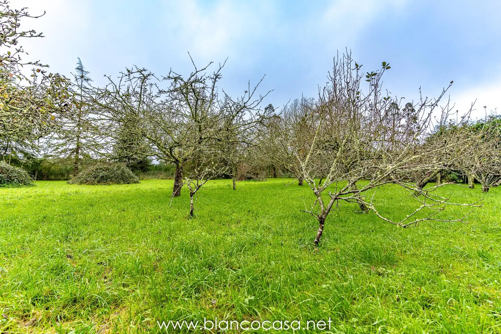 Houses for sale in Coristanco  with Private garden, Storage room and Furnished