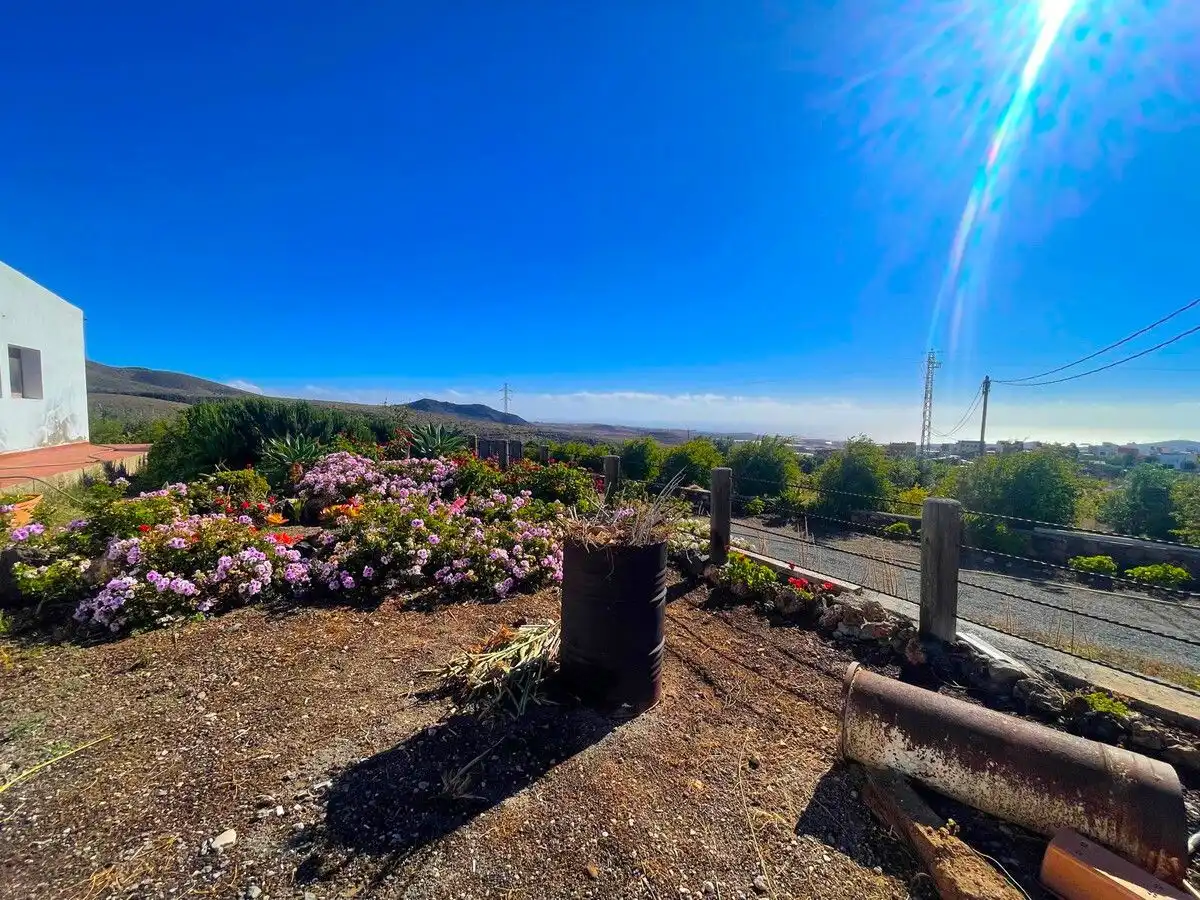Exterior view of Land for sale in Ingenio