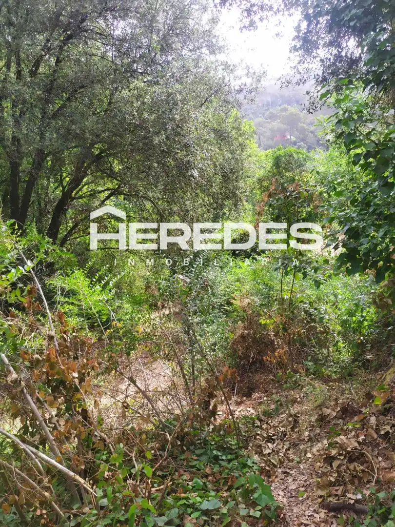 Terreno residencial en venta en Carrer Finestrelles 8, imagen 13