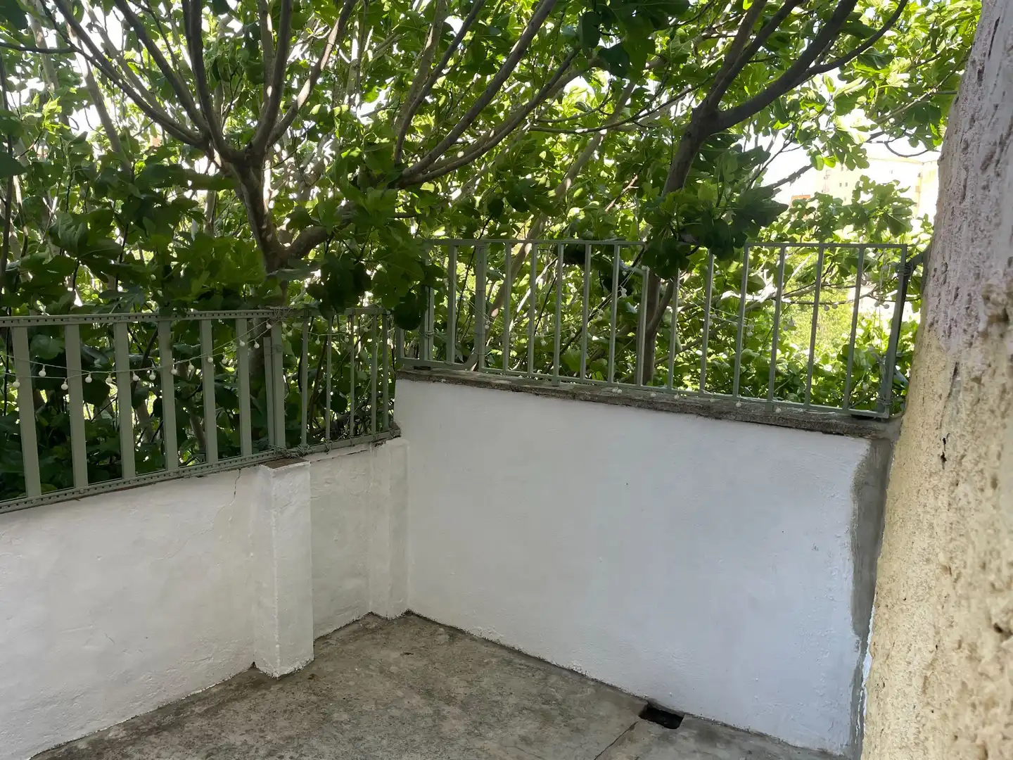 Country homes for sale in Centro