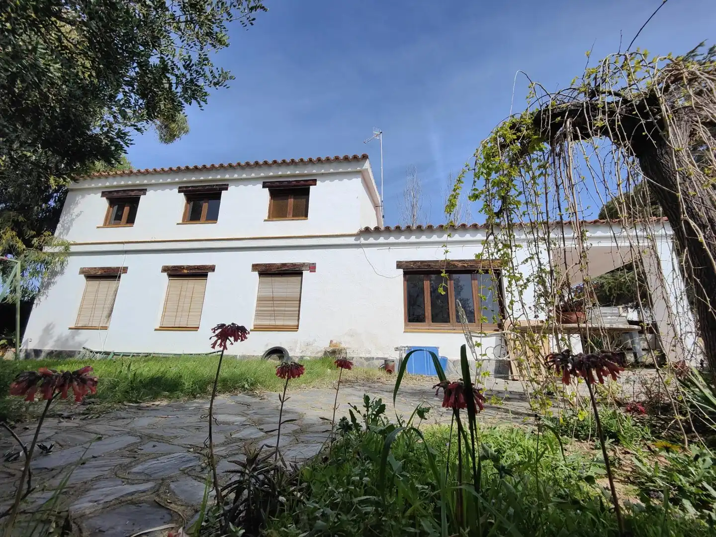 Vista exterior de Casa o chalet en venta en Roda de Berà con Jardín privado, Terraza y Trastero