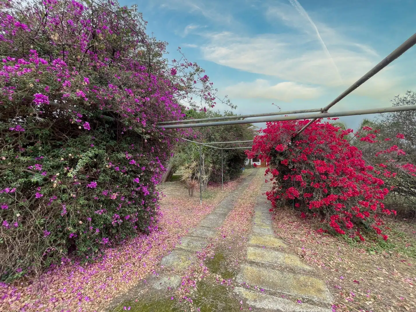 Jardí de Casa o xalet en venda en Santa Brígida amb Terrassa, Traster i Piscina