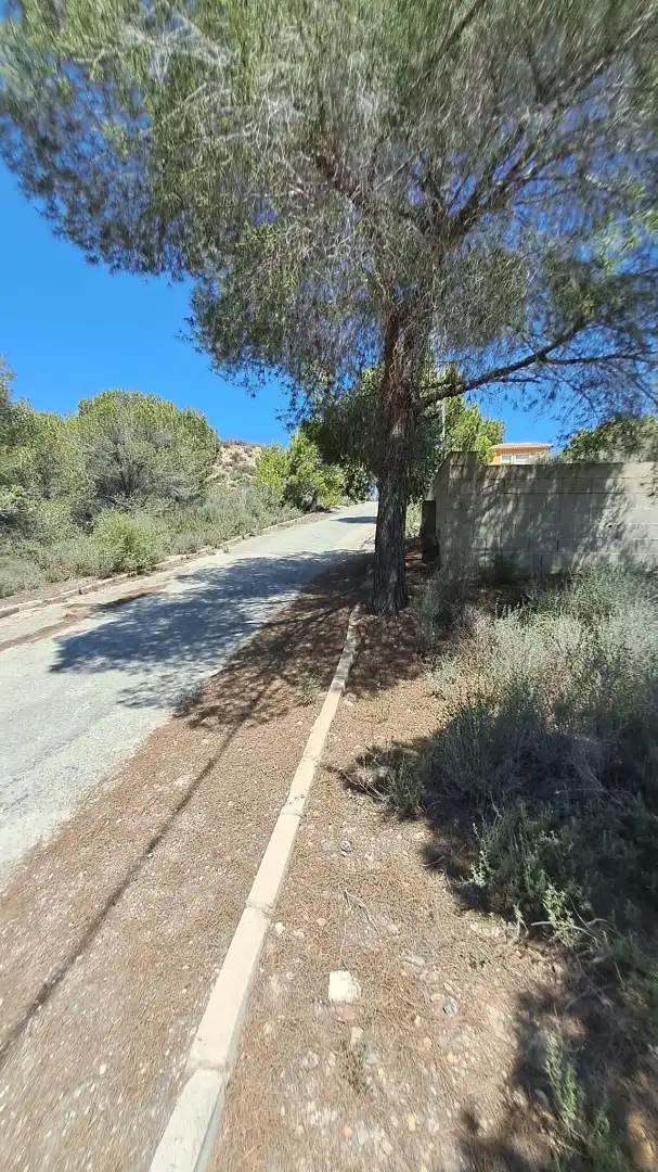 Terreny residencial en venda a Diseminado Pinada Moñino 6, imagen 2