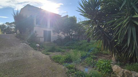 Foto 3 de Finca rústica en venta en Polígono 4 Paraje 41 Sa Taulera, Alaró, Illes Balears