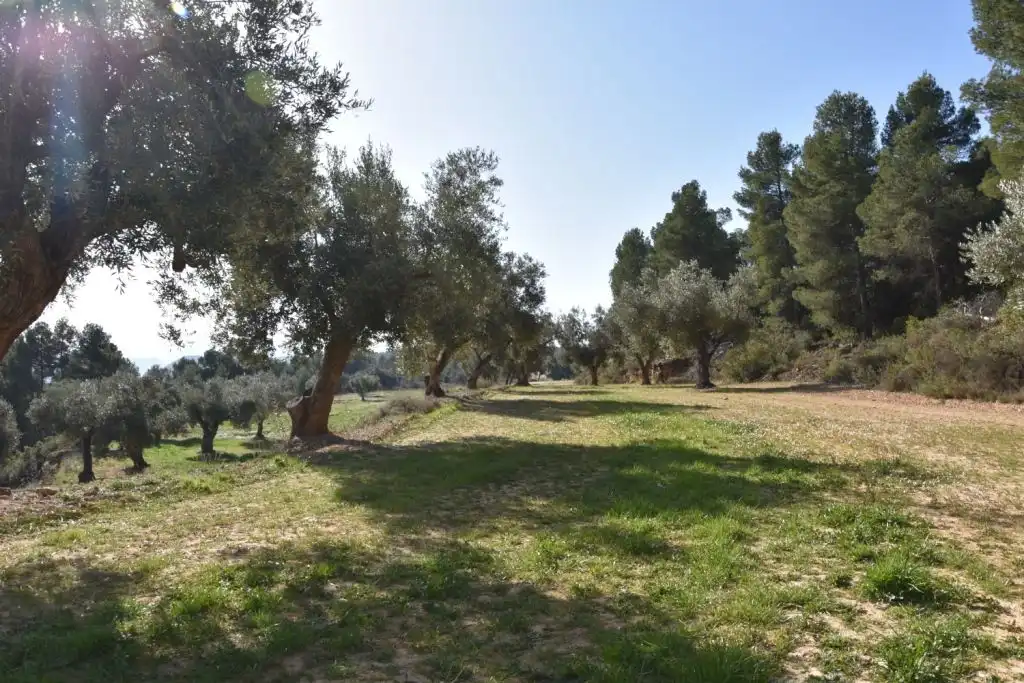 Country homes for sale in La Fresneda