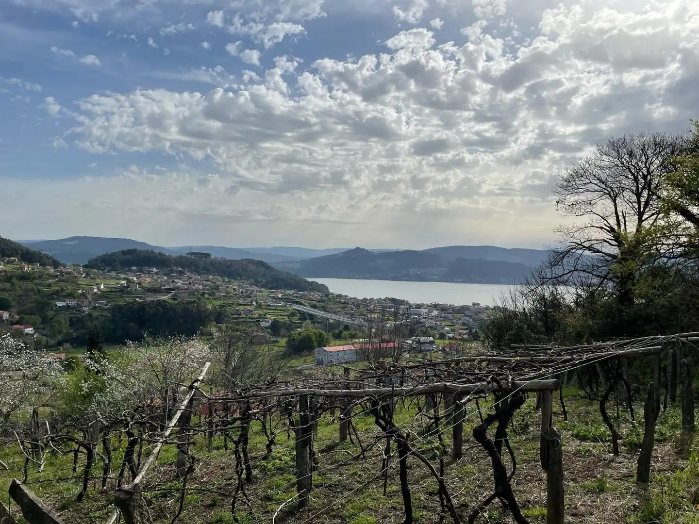 Finca rústica en venta en Vilaboa