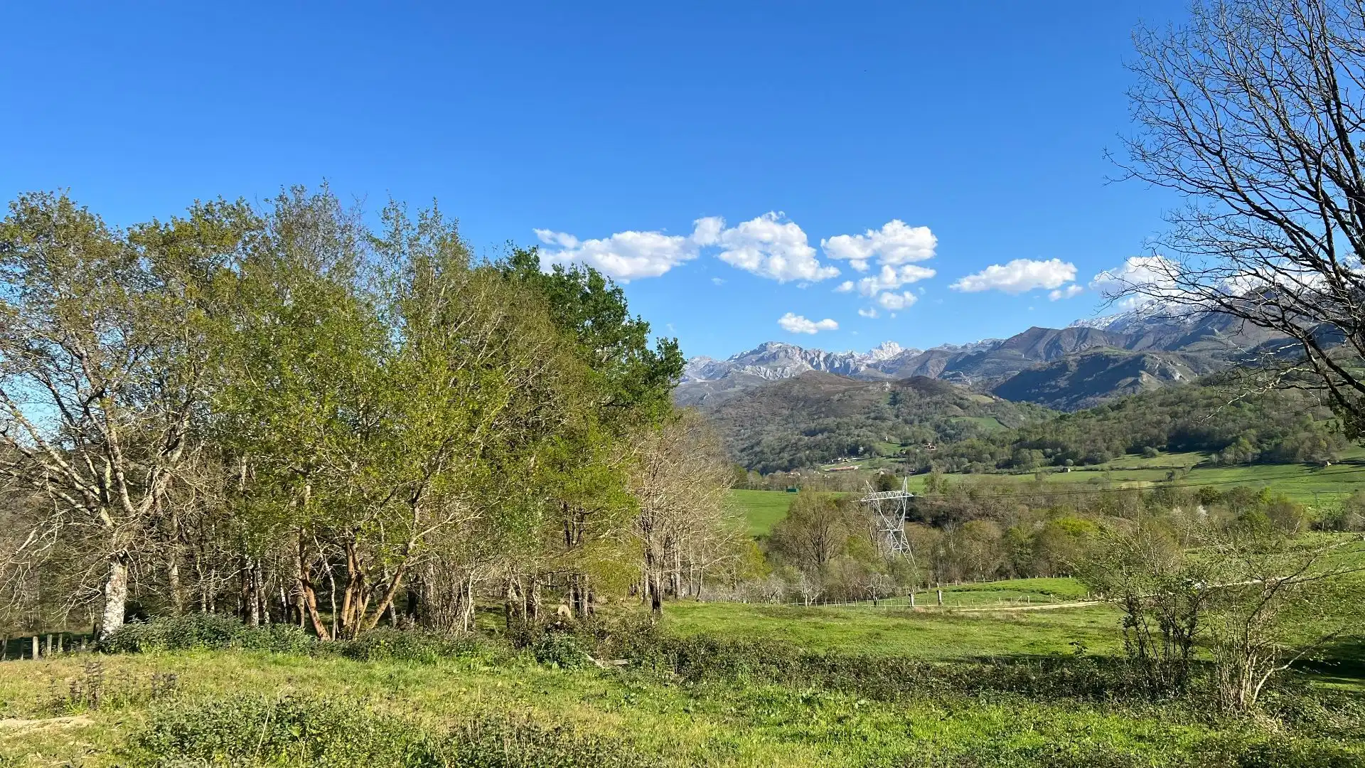 Terreni e lotti in vendita a Cangas de Onís, imagen 15