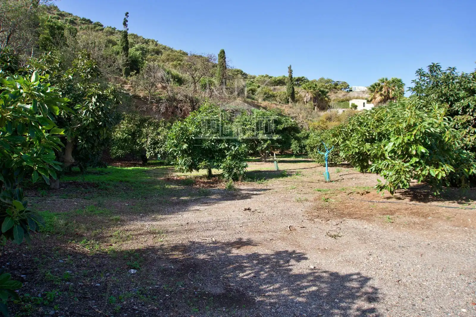 Terreni e lotti in vendita a Barranco del Inglés, imagen 41