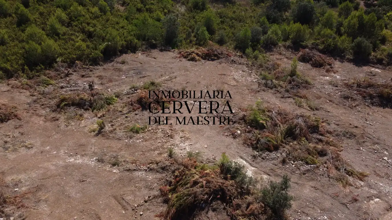 Terreno rustico in vendita a Cervera del Maestre, imagen 14