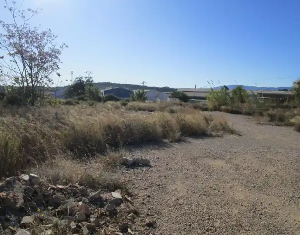 Terreno rustico in vendita a Buñol, imagen 12