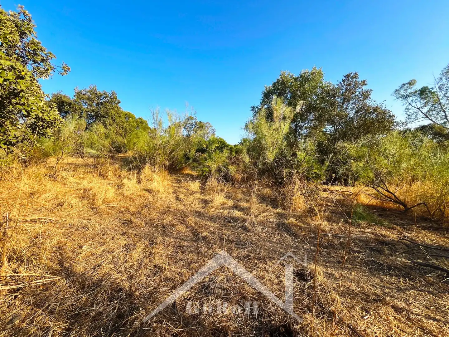 Terreno en venta en Guillena