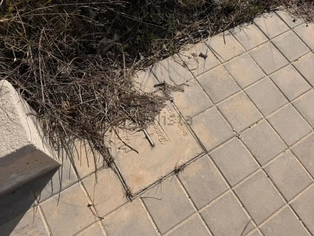 Vista exterior de Residencial en venta en Alicante / Alacant