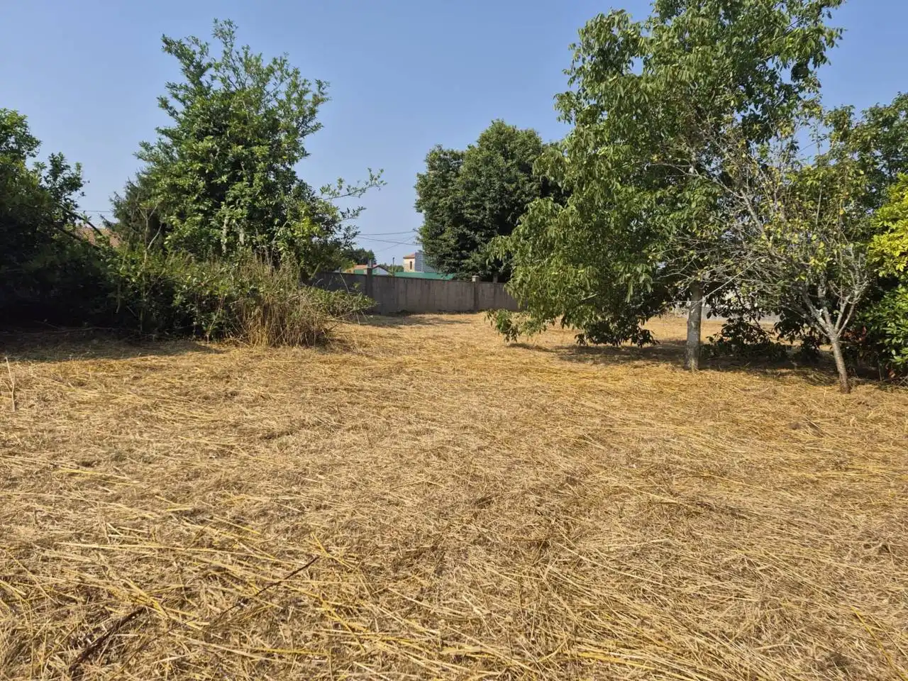 Casa o chalet en venta en Curtis