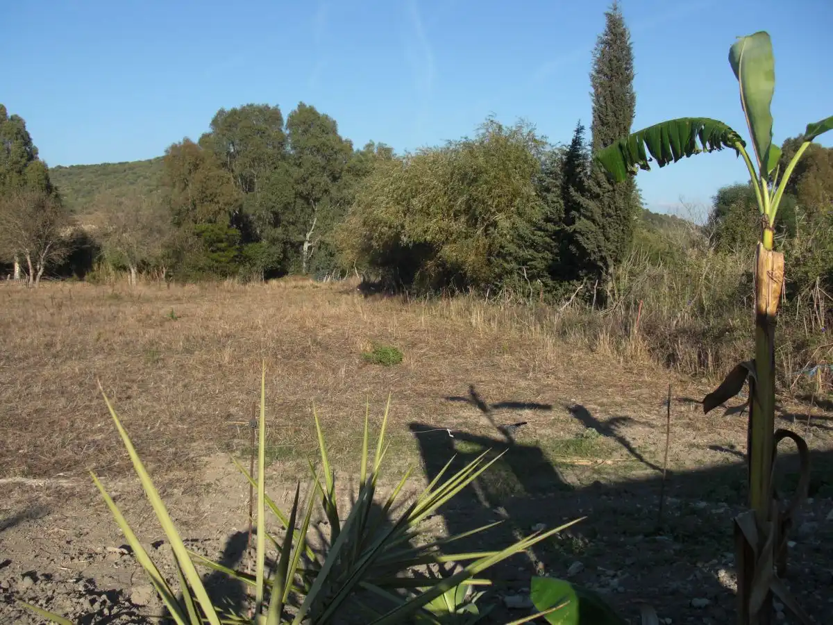 Maison rustique à vendre à Vejer, imagen 27