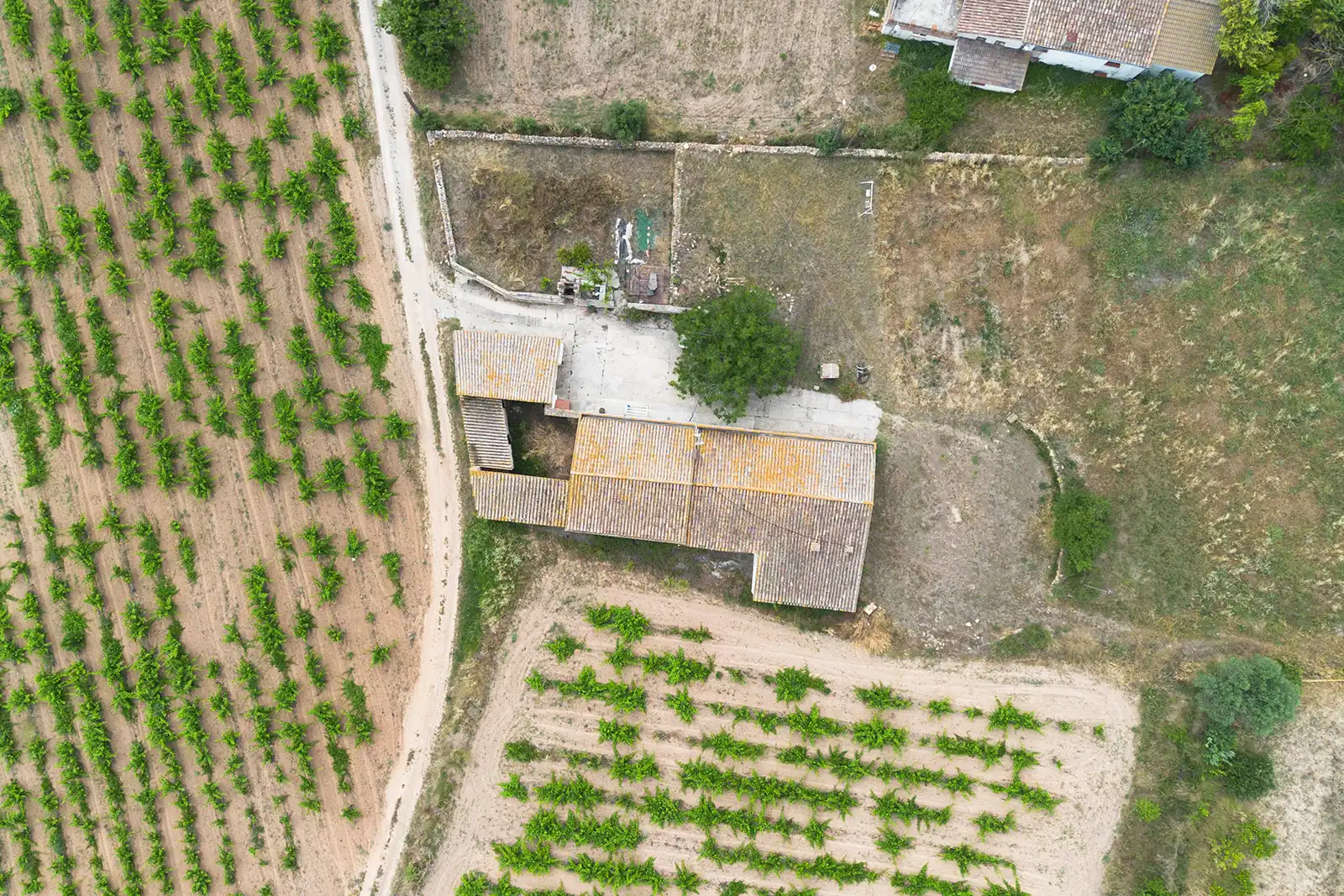 Casa rústica amb jardí en venda a Camí dels Hostalets, imagen 3