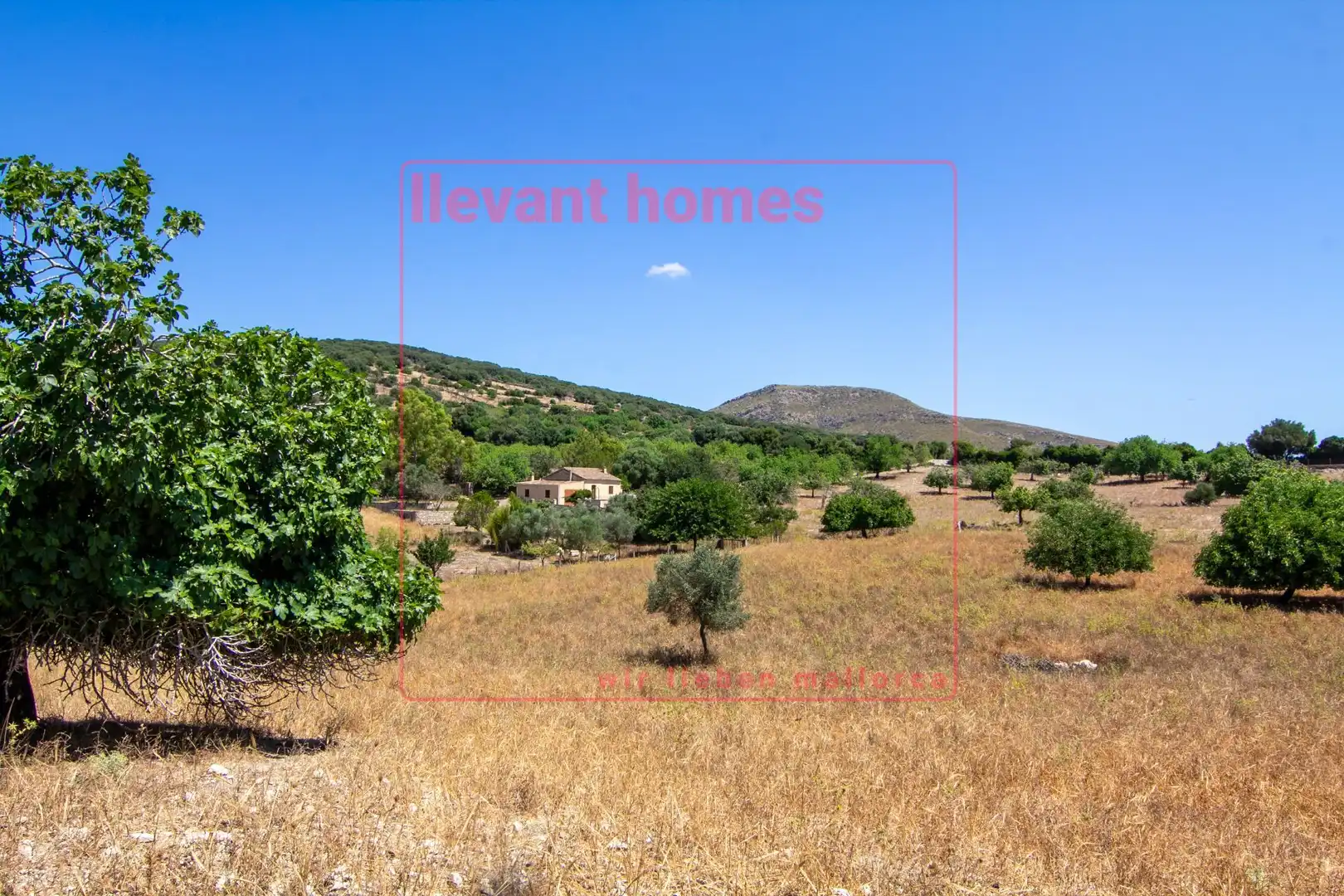 Grundstücke zum Verkauf in Carretera de Carrossa, Sant Llorenç des Cardassar