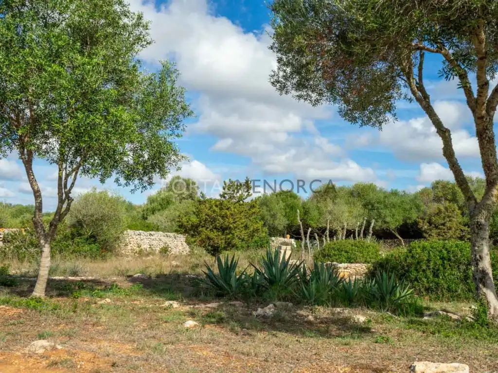 Casa rústica amb piscina en venda a cami sa vigia Polígono 4 Parcela 314, imagen 56