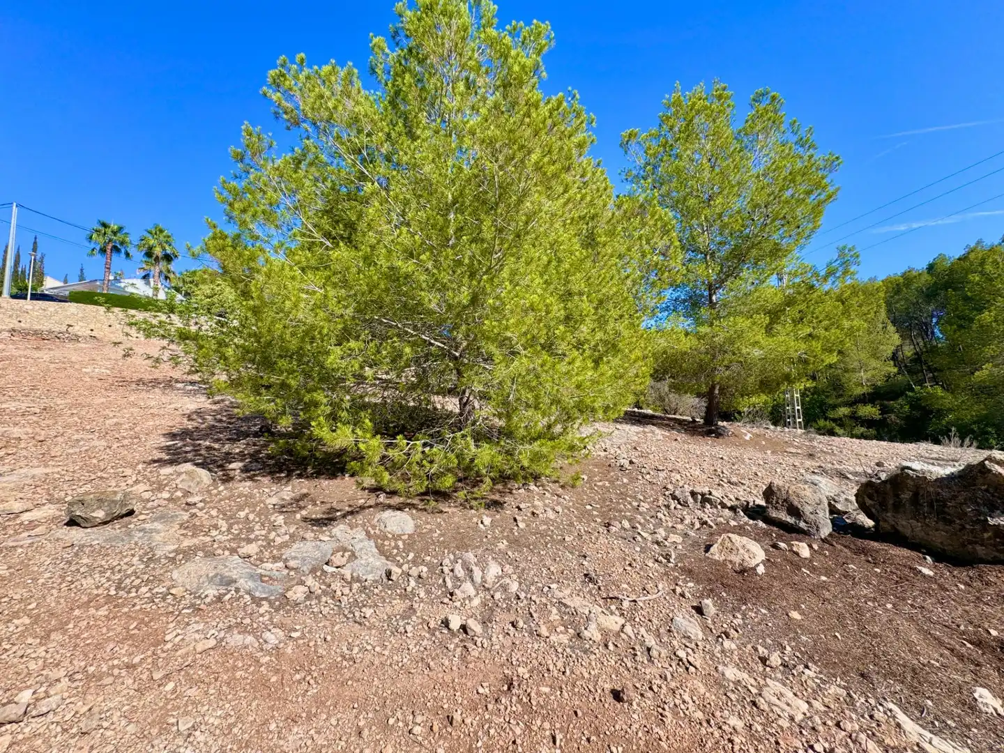 Terreny residencial en venda a Calle PICOS D EUROPA-STO DOMING 58, imagen 7