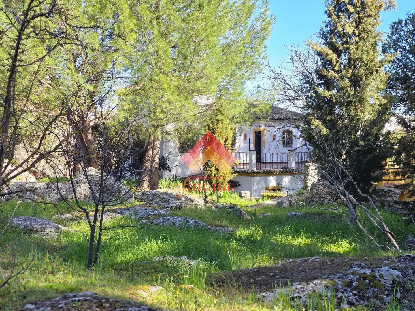 Jardín de Casa o chalet en venta en Ronda con Terraza, Trastero y Piscina
