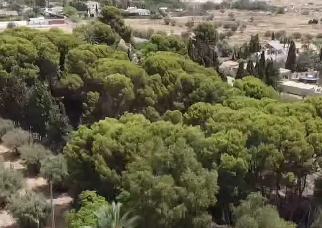 Vista exterior de Finca rústica en venda en Alicante / Alacant amb Terrassa i Piscina