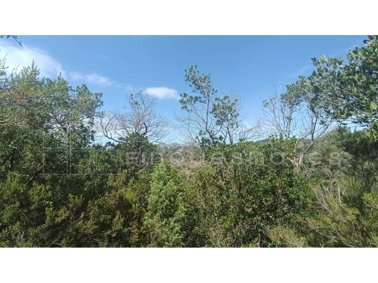 Terreny residencial en venda a Calle Torrent del Llor, imagen 4