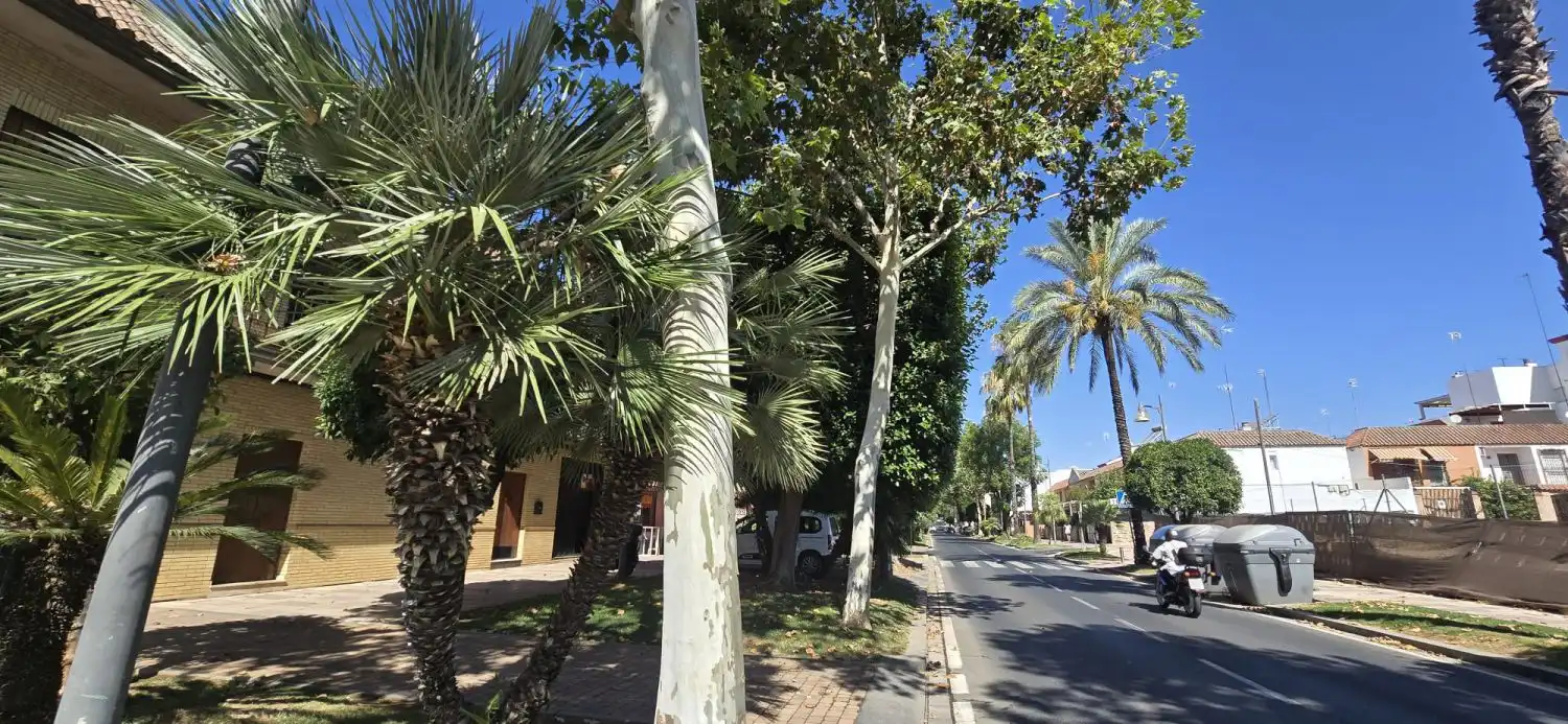 Gewerbefläche zum Verkauf in Nueva Alcalá, imagen 6