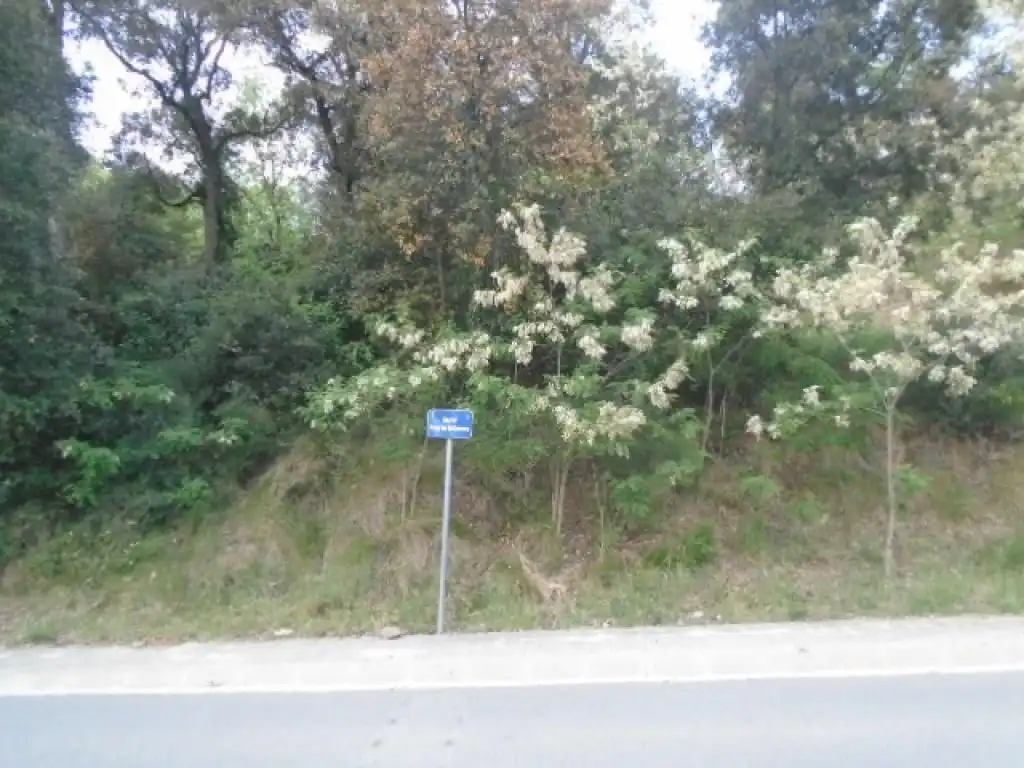 Terreni e lotti in vendita a Gualba