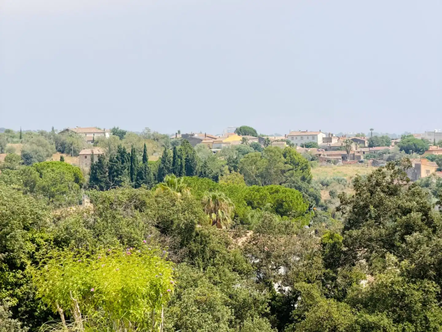 Terreny residencial en venda a Mas Pere - Río de Oro, imagen 4