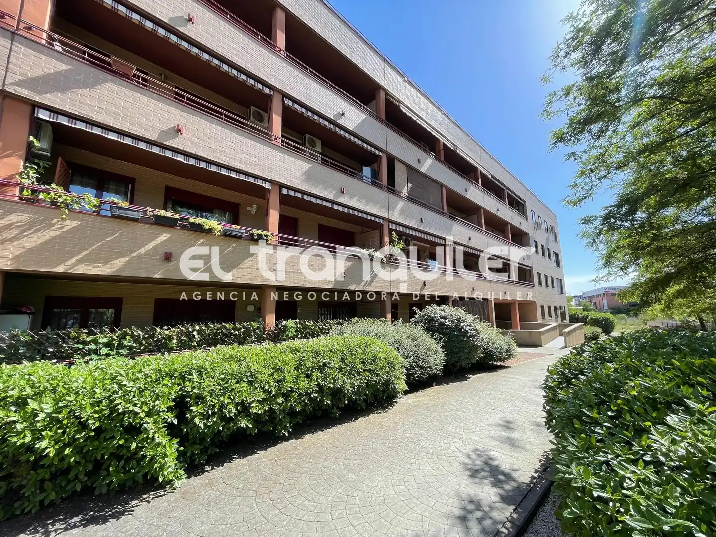 Vista exterior de Piso de alquiler en Rivas-Vaciamadrid con Parquet, Terraza y Trastero