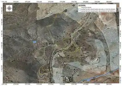 Rustikales Grundstück zum Verkauf in Vélez-Rubio, imagen 2