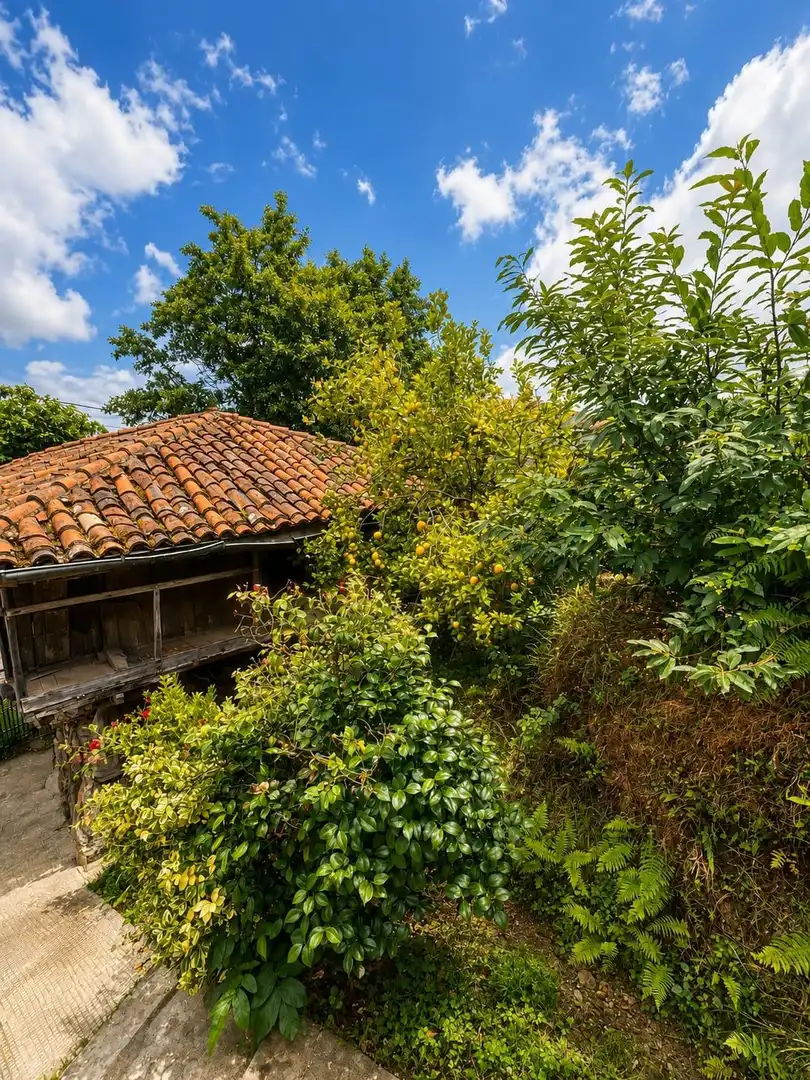 Villa in vendita a Pravia, imagen 30