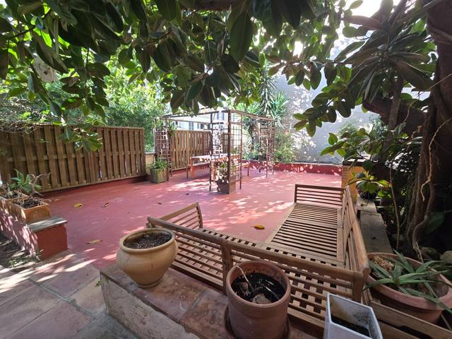 Planta baja en Alquiler en El Terreno