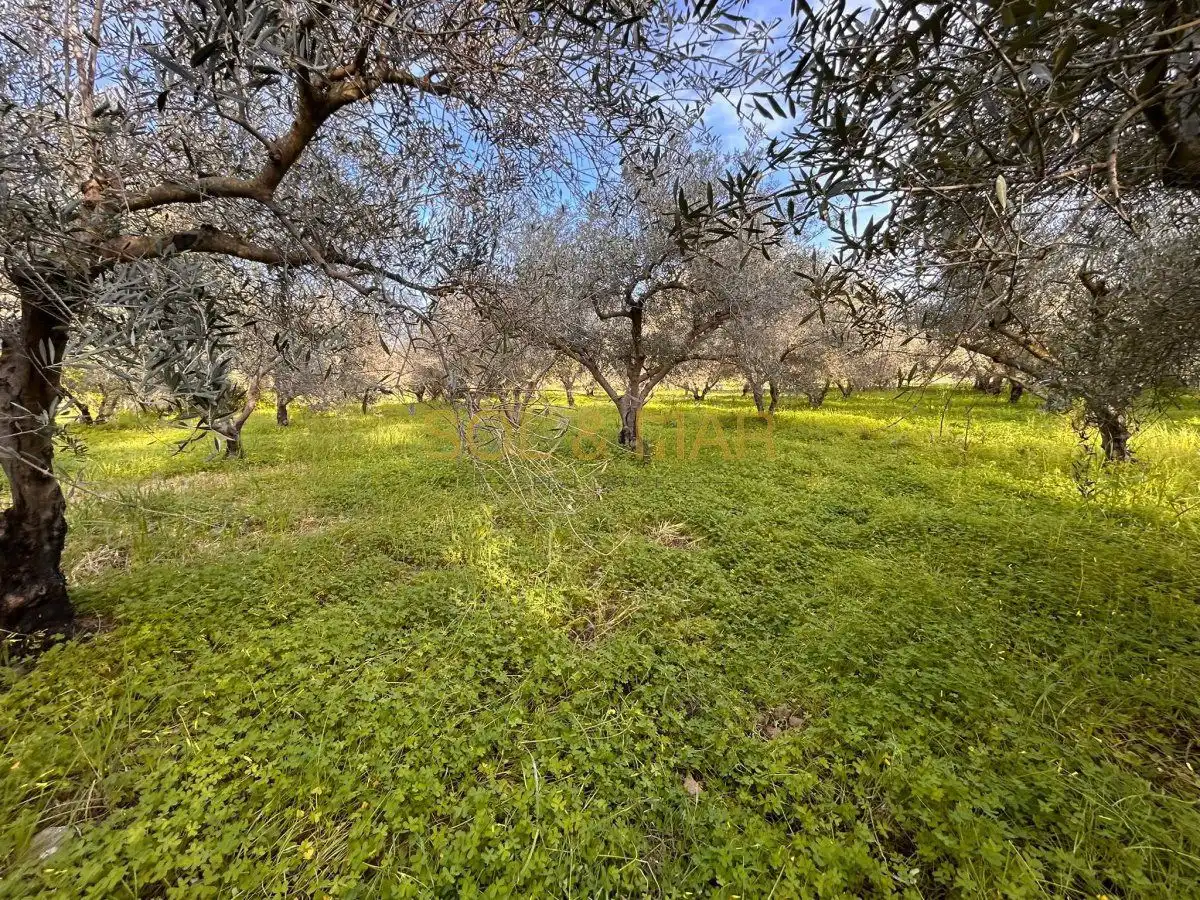 Casa rústica en venta en Nueva Aljaima - Las Tres Leguas - Los Mondeños, imagen 9