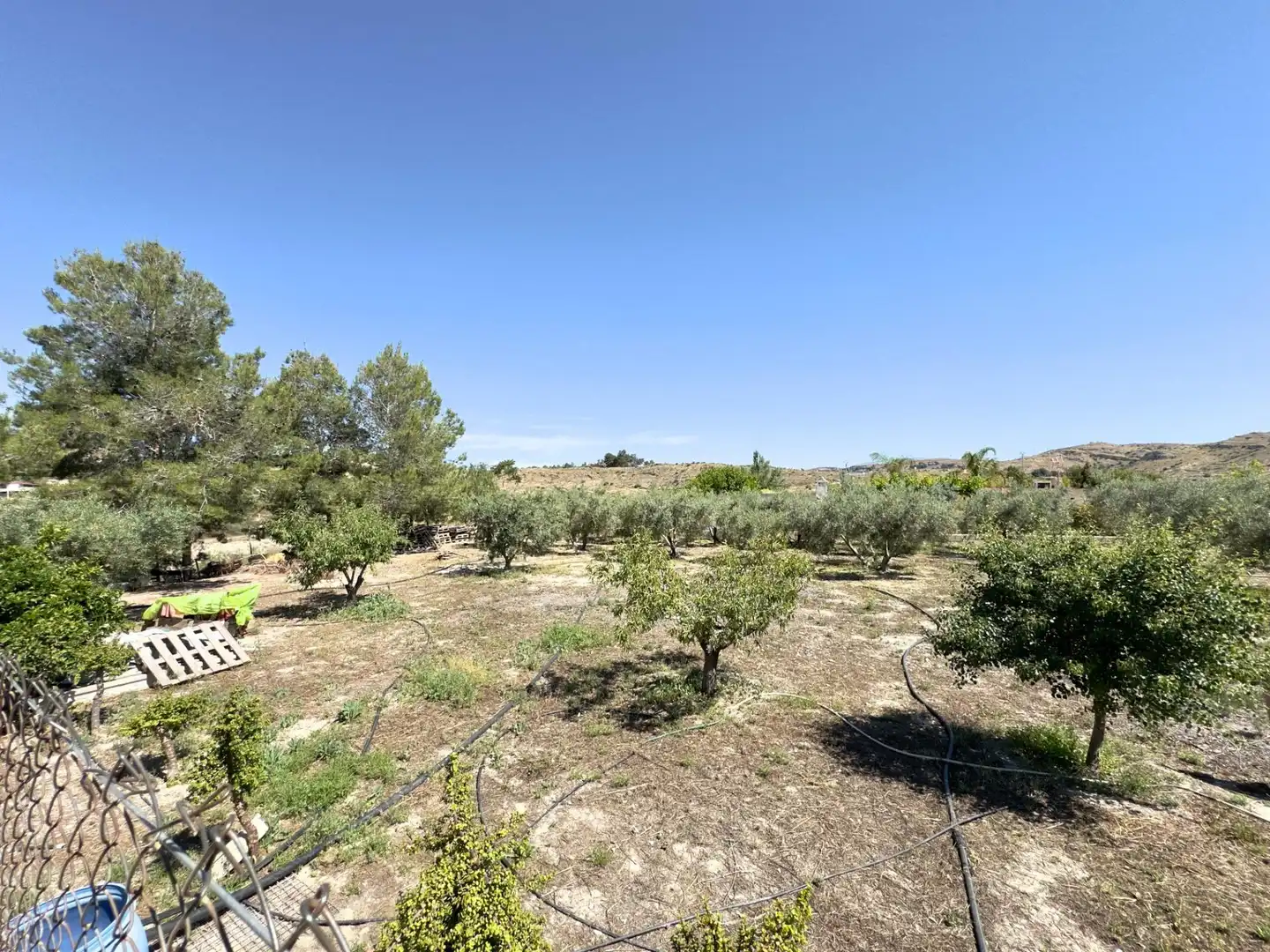 Casa o chalet en venta en Aspe con Calefacción, Jardín privado y Terraza
