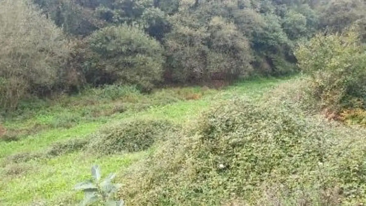 Terreno rustico in vendita a Lugar Carrionina, imagen 11