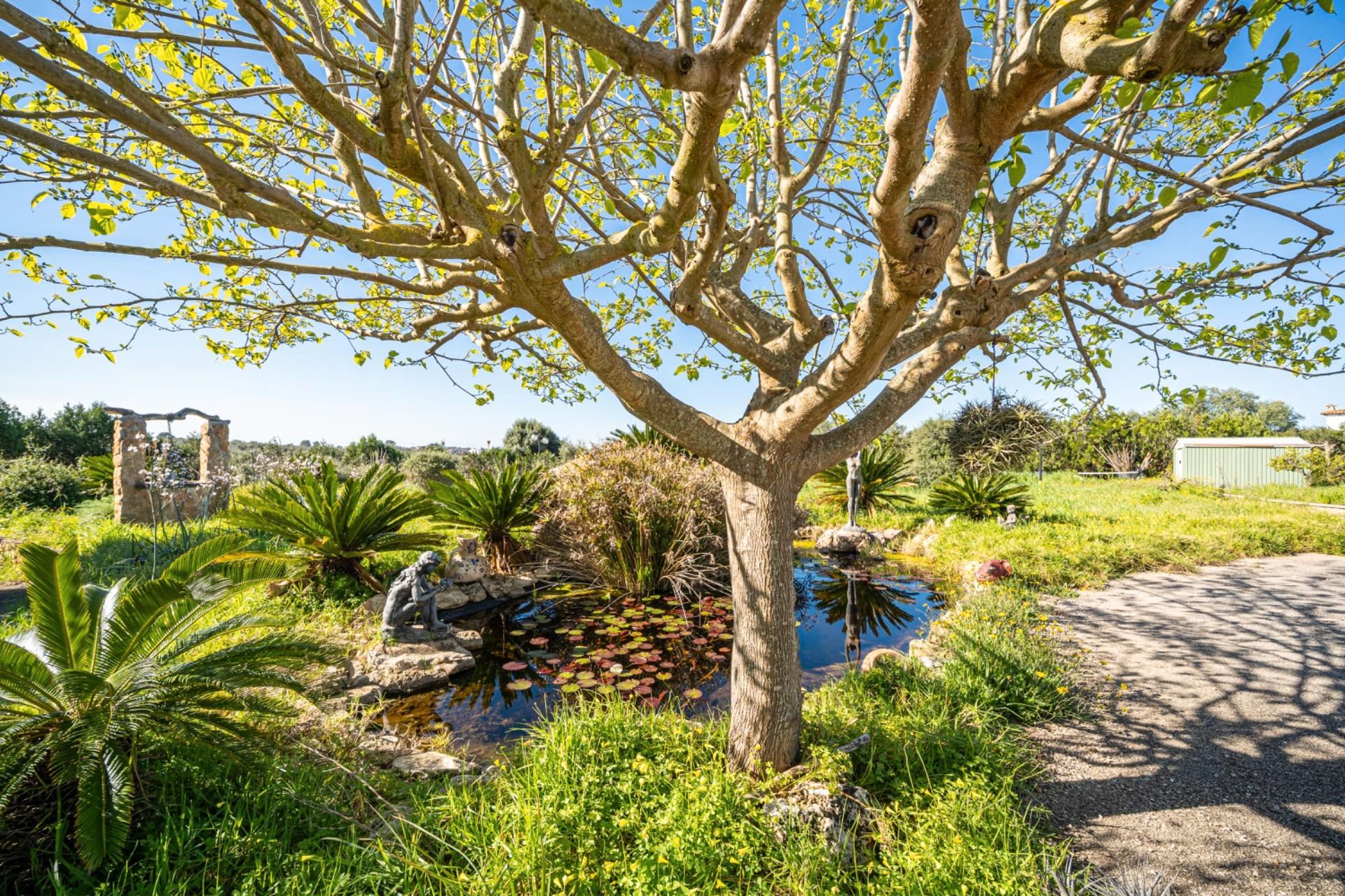 Garten von Grundstücke zum Verkauf in  Palma de Mallorca
