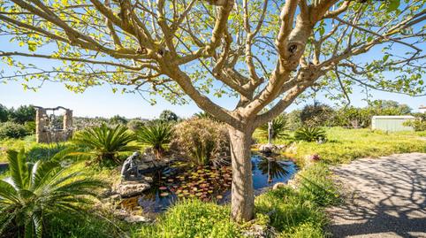 Foto 3 von Grundstücke zum Verkauf in Son Gual, Palma de Mallorca