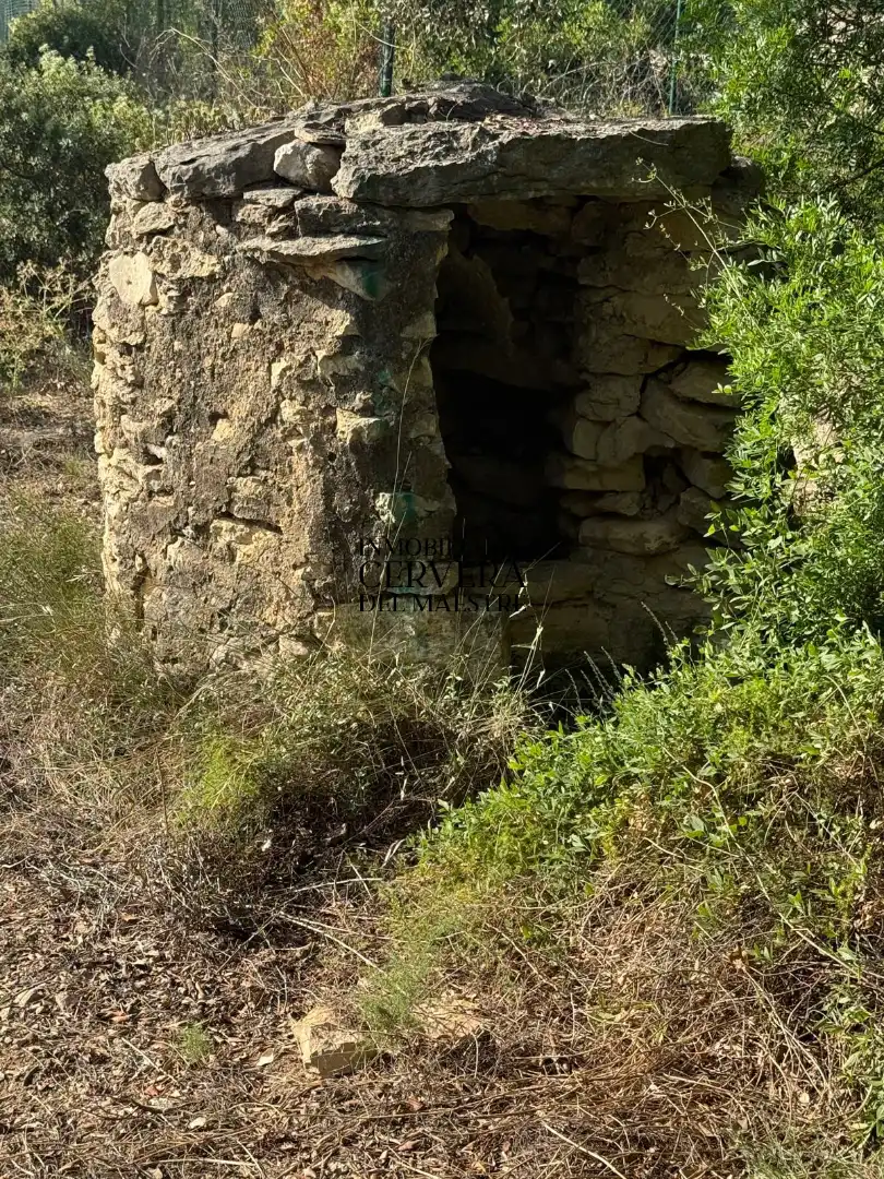 Terreno rustico in vendita a Cervera del Maestre, imagen 4