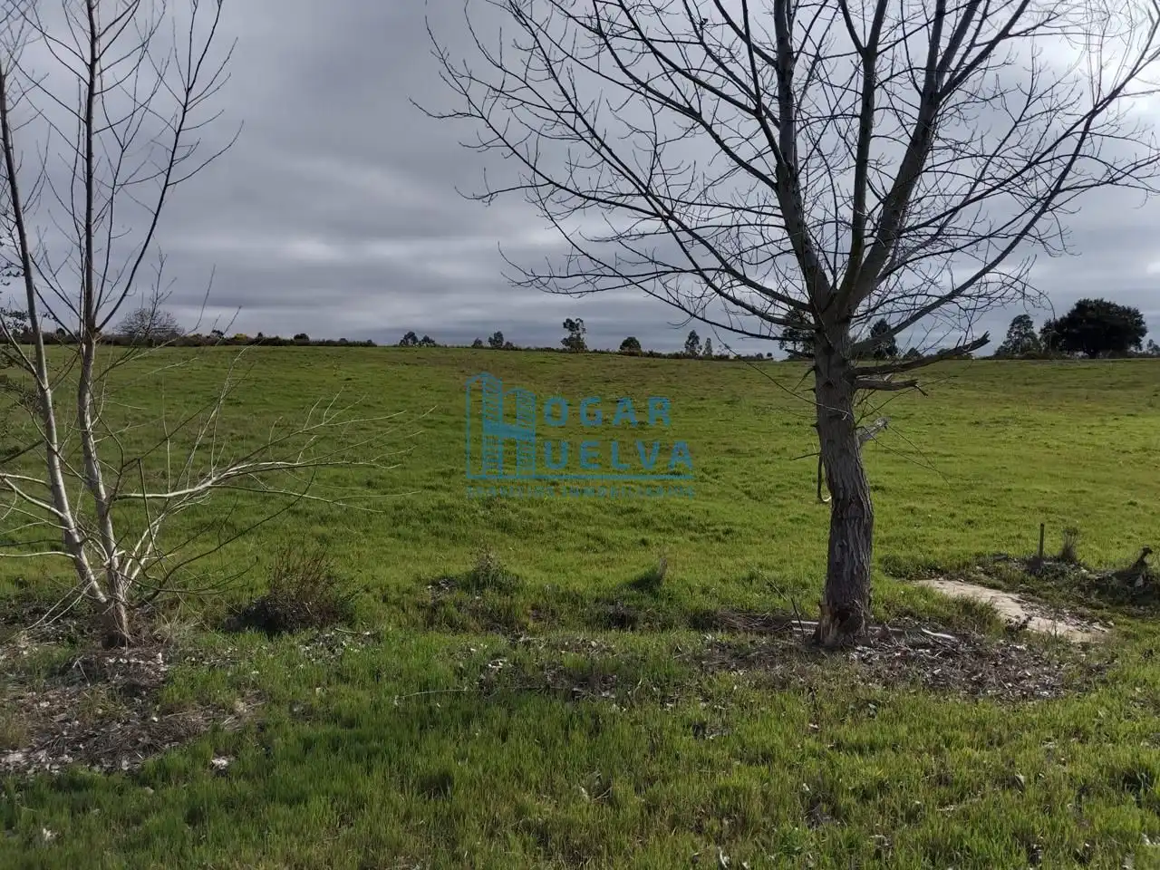 Finca rústica en venda en Bollullos Par del Condado amb Terrassa