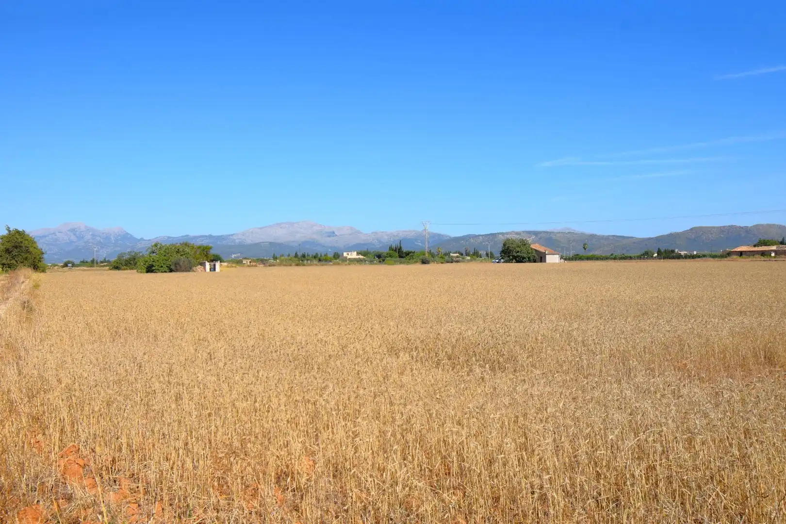 Casa rústica en venta en Muro, imagen 13