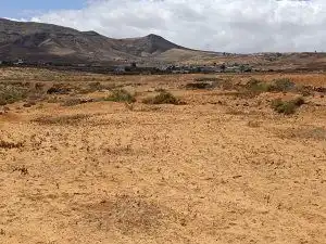 Land for sale in Puerto del Rosario
