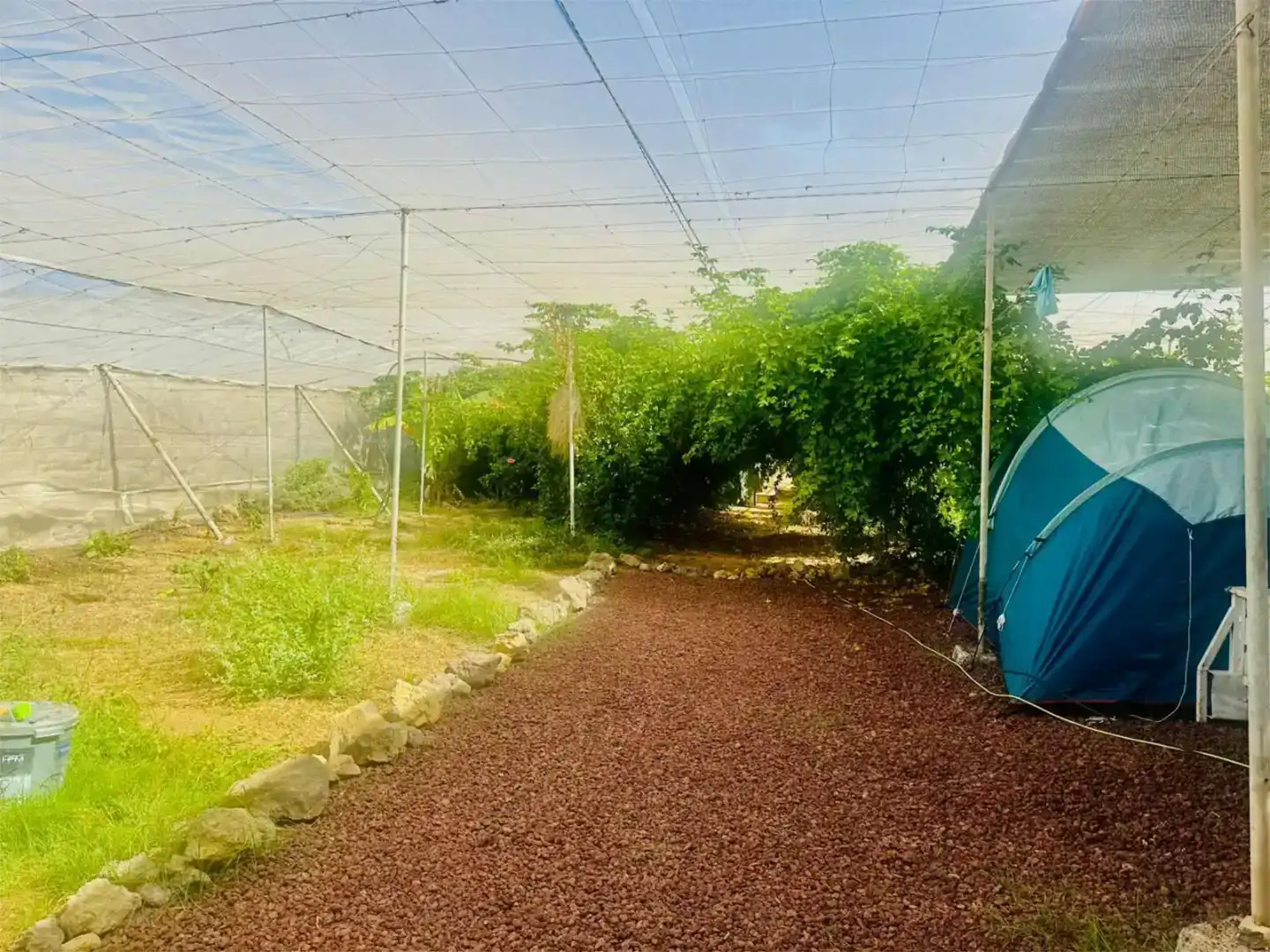Finca rústica en venda en Guía de Isora
