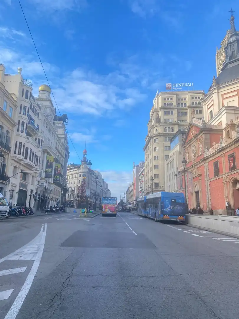 Piso de alquiler en Calle de los Madrazo, Cortes - Huertas