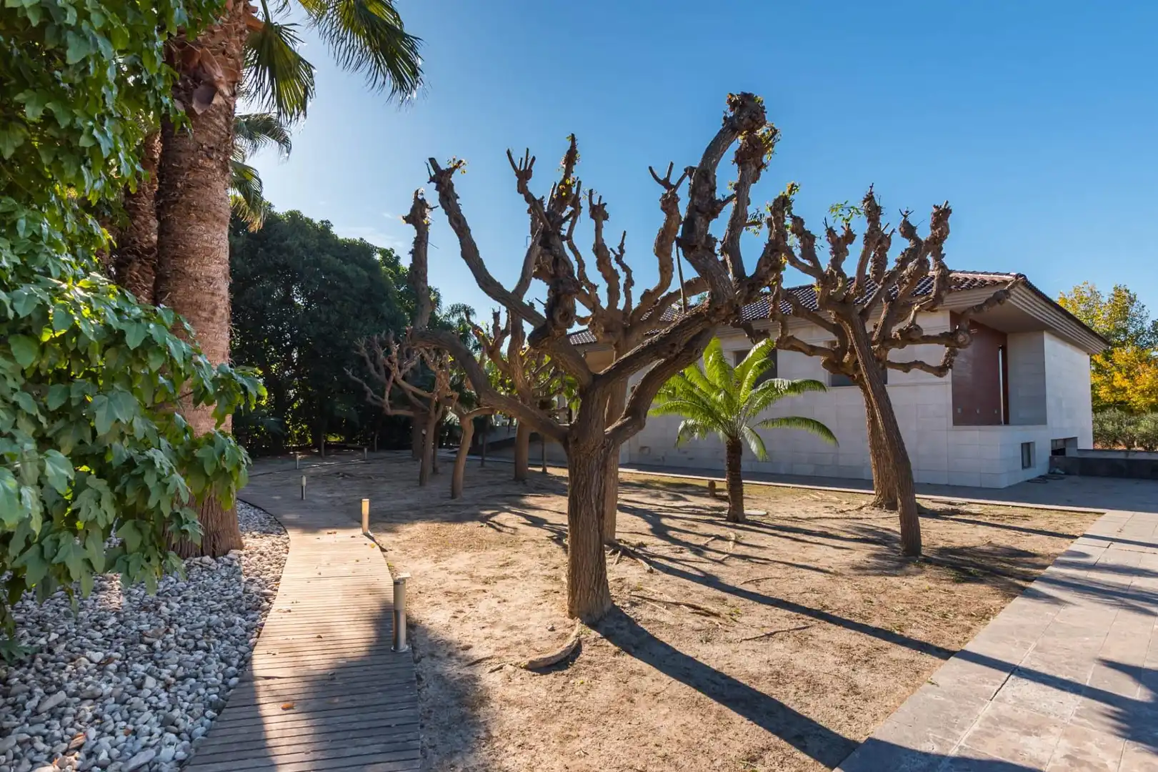 Chalet con piscina en venta en Pedanías Este, imagen 47