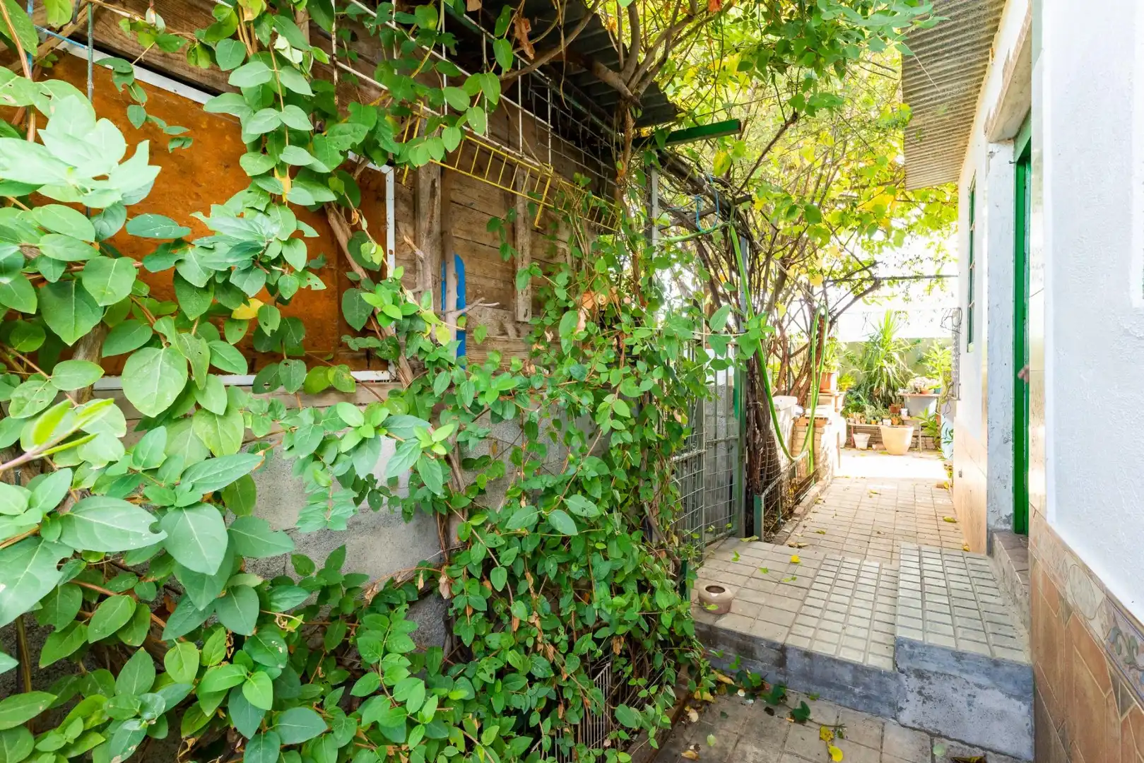 Vista exterior de Finca rústica en venda en Fuente Vaqueros amb Jardí privat