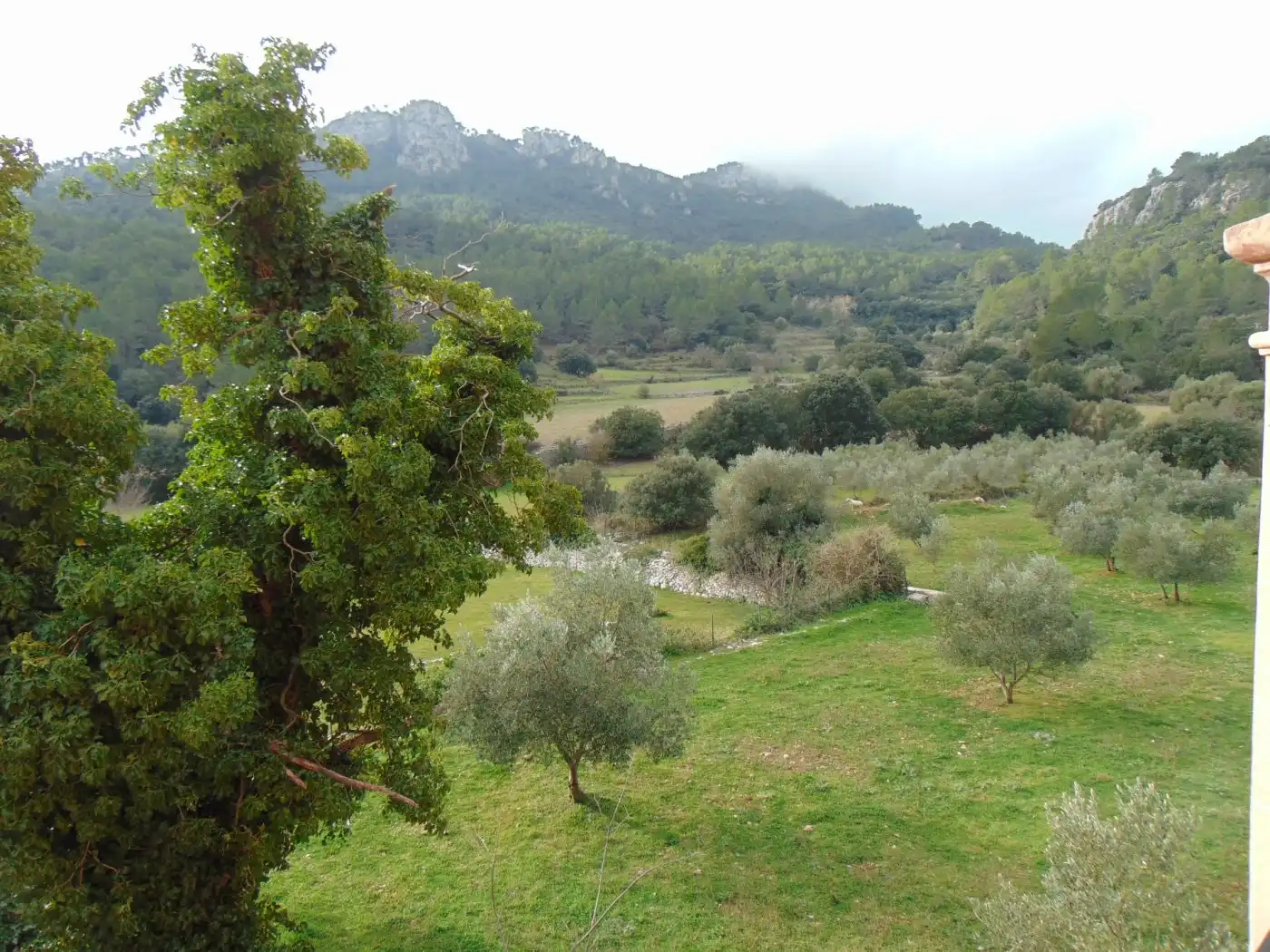 Garden of Country homes for sale in Bunyola  with Private garden, Terrace and Storage room