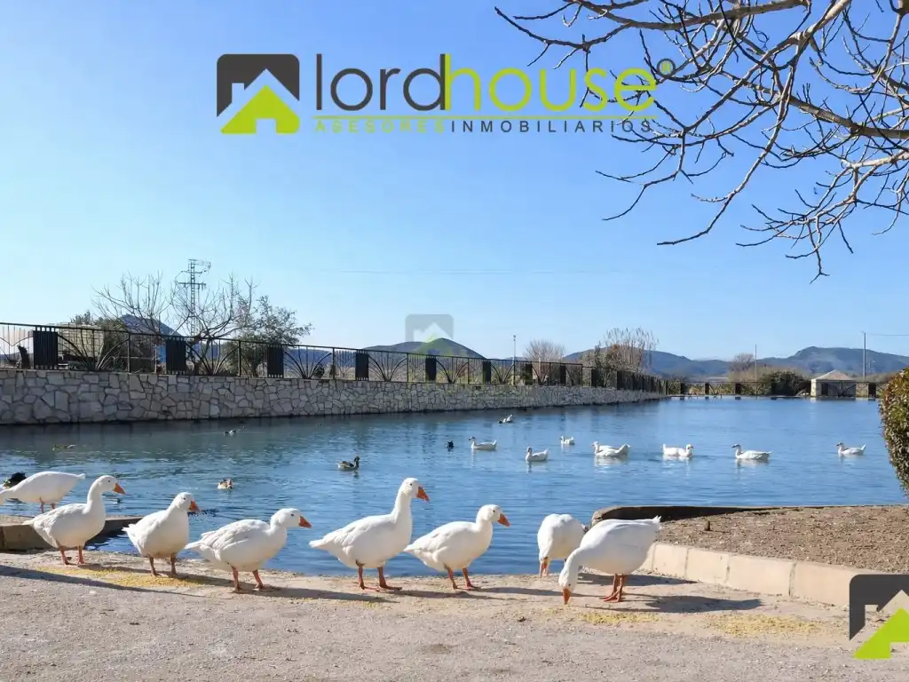 Houses for sale in Lorca
