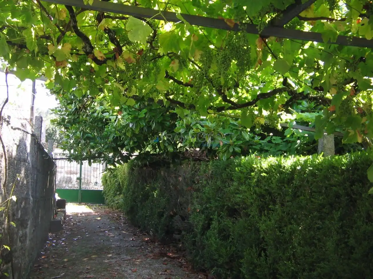 Jardín de Casa o chalet en venta en Vigo  con Jardín privado