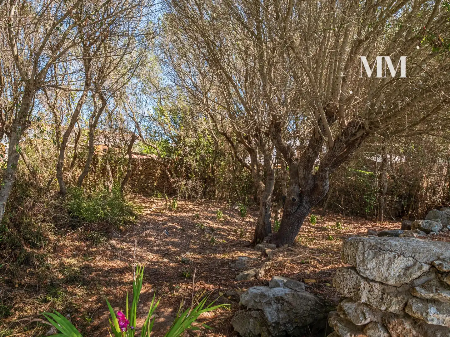 Villa avec piscine à vendre à Camí de Trebaluger 70, imagen 6